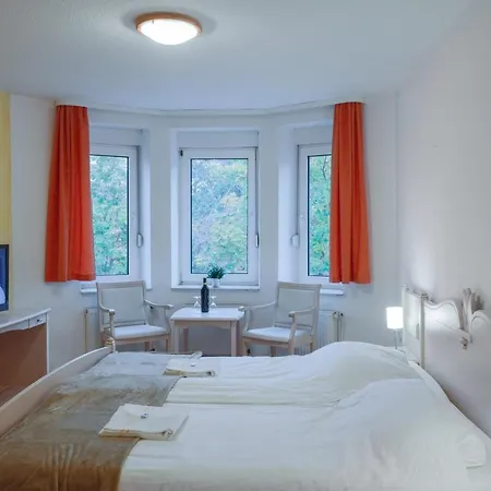 Hotel Boutique Auerhahn - *